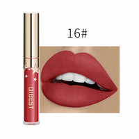 24 Color Lipsticks