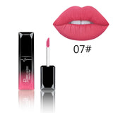 Velvet Glossy Lip